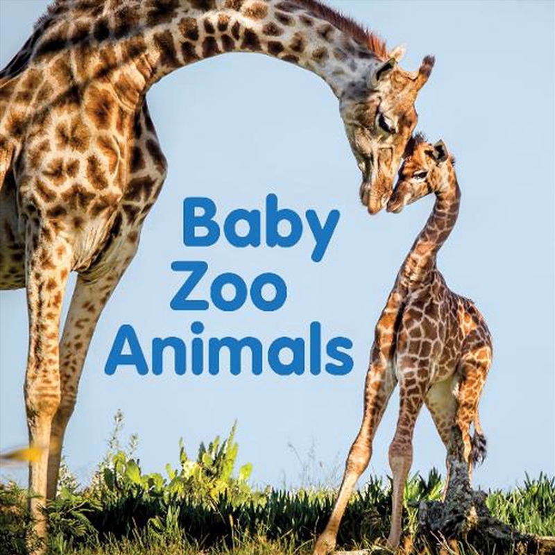 Baby Zoo Animals - Board Book/Product Detail/Childrens