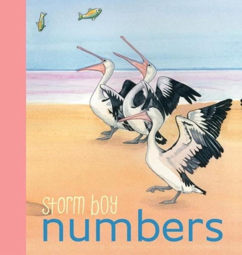 Storm Boy Numbers/Product Detail/Early Childhood Fiction Books