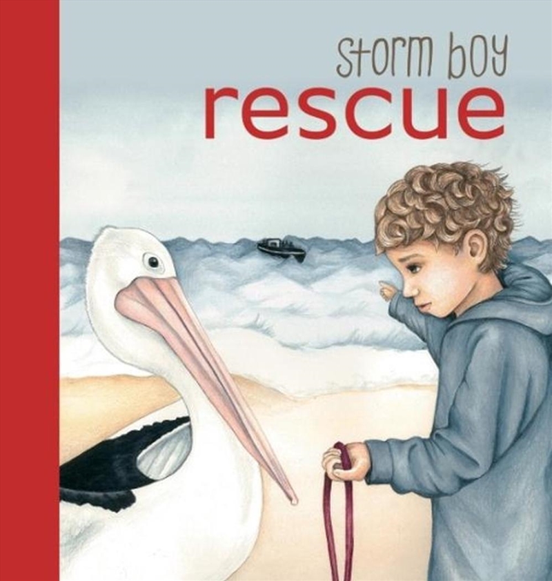 Storm Boy Rescue/Product Detail/Early Childhood Fiction Books
