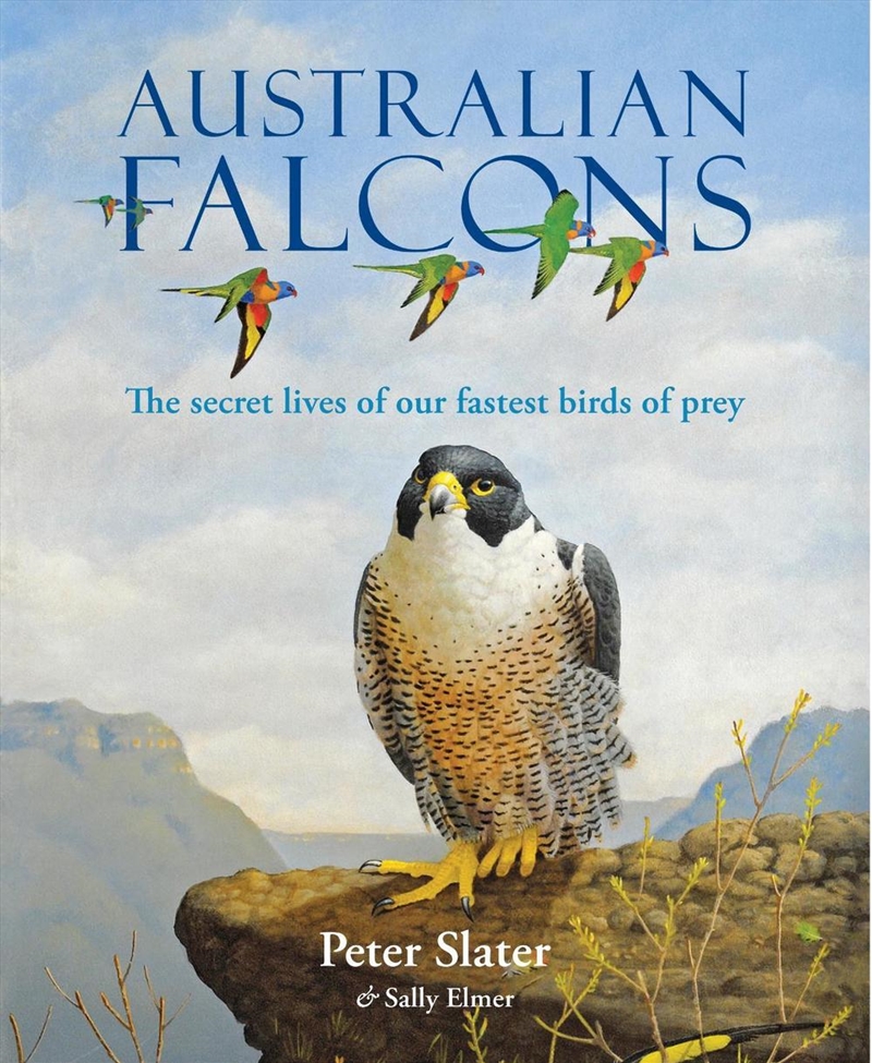 Australian Falcons/Product Detail/Animals & Nature