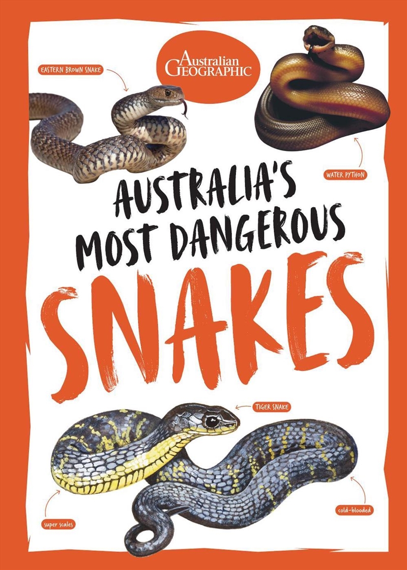 Australia's Most Dangerous Snakes/Product Detail/Animals & Nature
