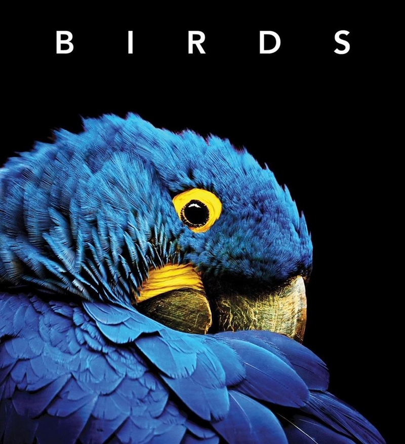 Birds - Deluxe Series/Product Detail/Animals & Nature