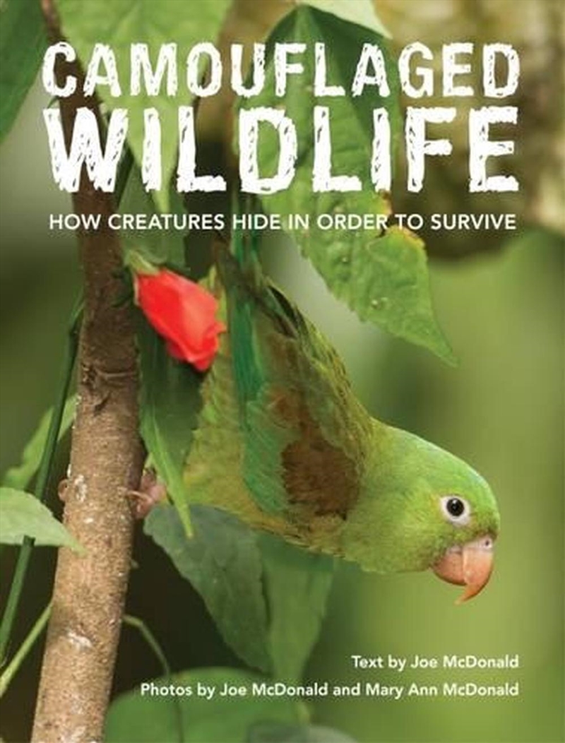 Camouflaged Wildlife/Product Detail/Animals & Nature