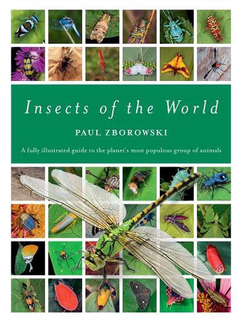 Insects of the World/Product Detail/Animals & Nature