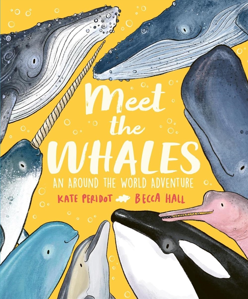 Meet the Whales/Product Detail/Childrens