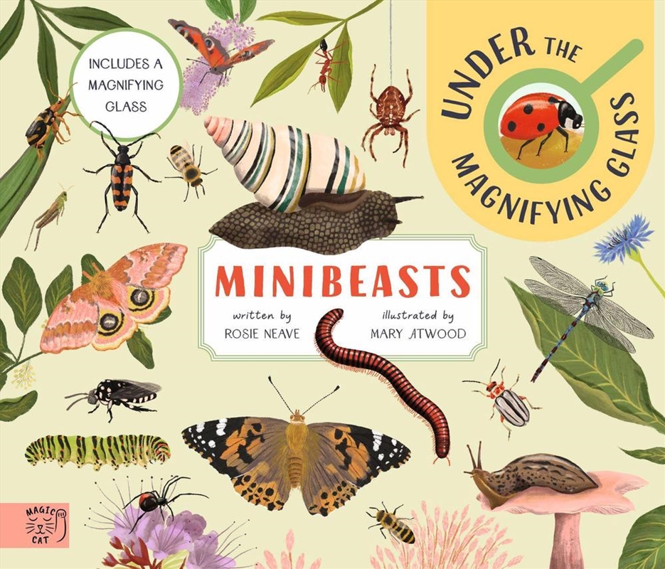 Minibeasts/Product Detail/Kids Activity Books