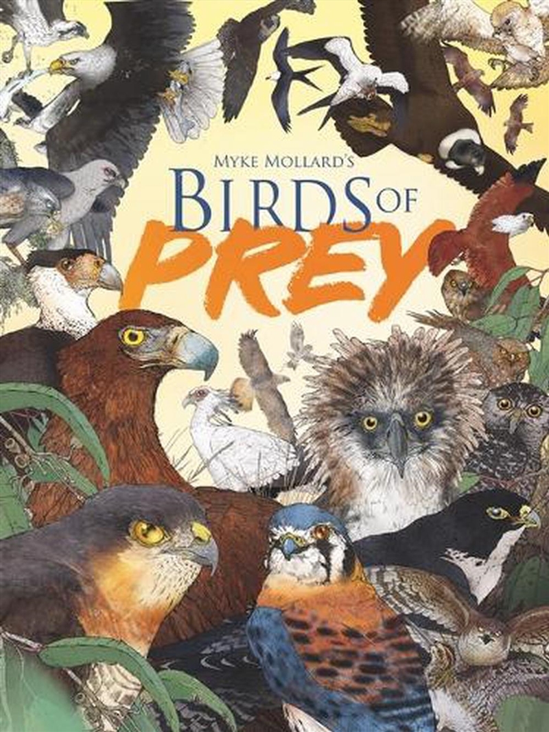 Myke Mollard's Birds of Prey/Product Detail/Early Childhood Fiction Books