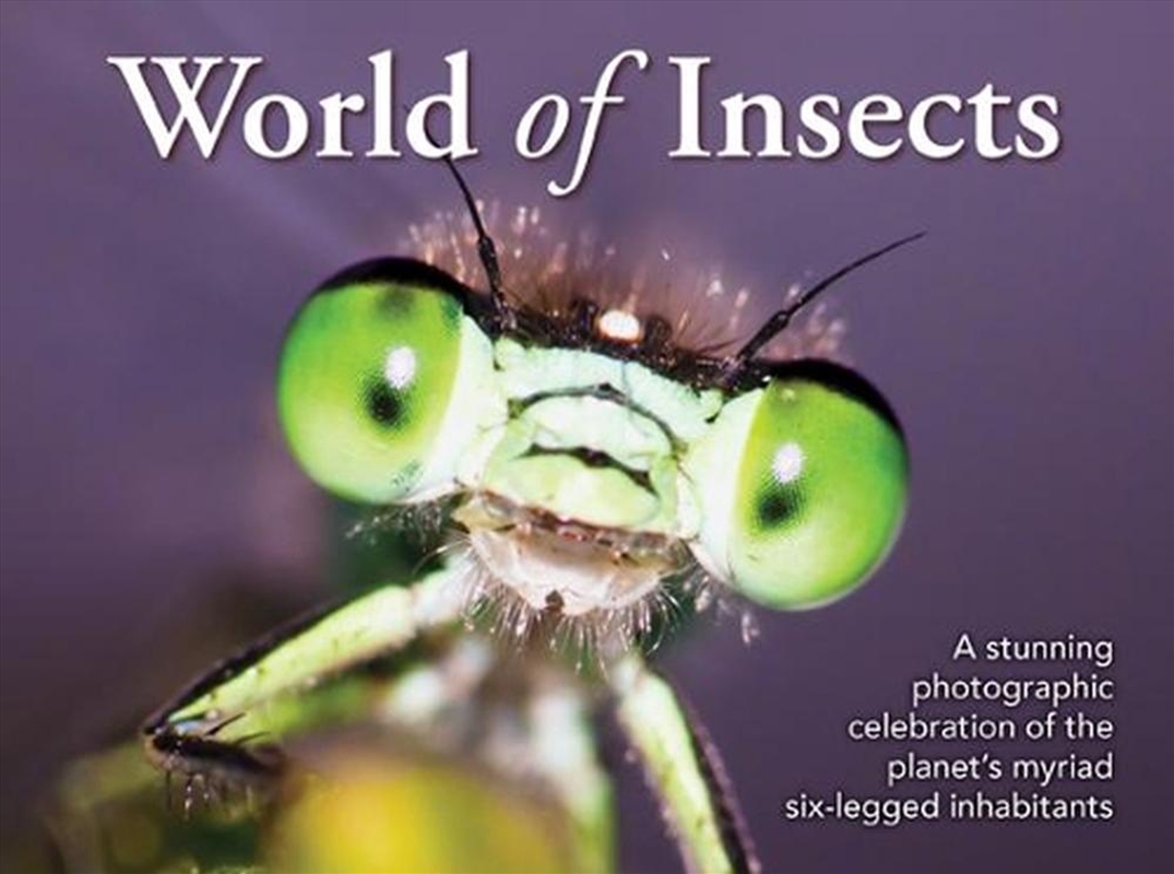 World of Insects/Product Detail/Animals & Nature