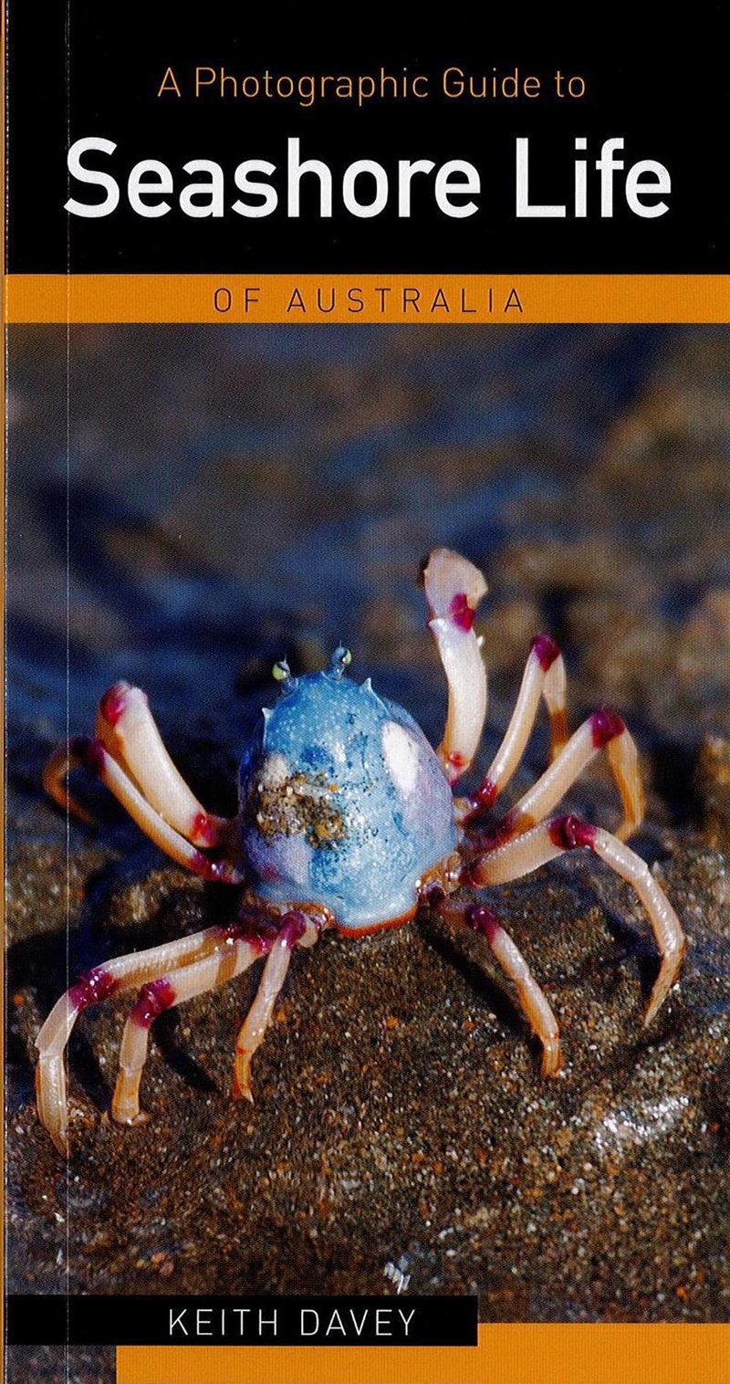 A Photographic Guide to Seashore Life of Australia/Product Detail/Animals & Nature
