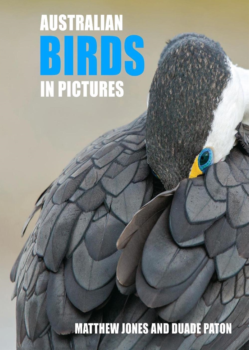 Australian Birds in Pictures: Compact Edition/Product Detail/Animals & Nature