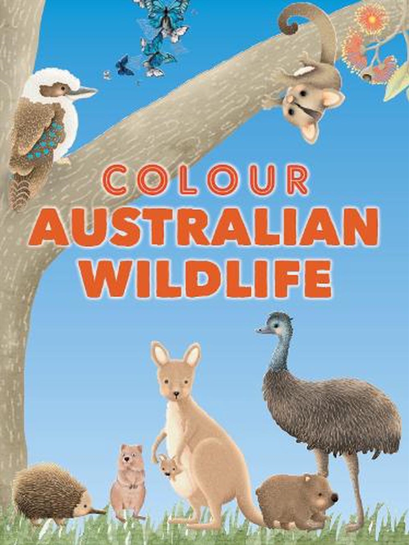Colour Australian Wildlife/Product Detail/Kids Colouring