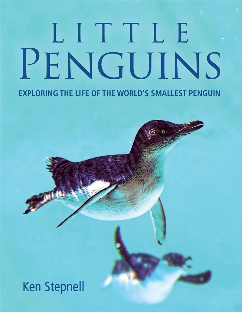 Little Penguins/Product Detail/Animals & Nature