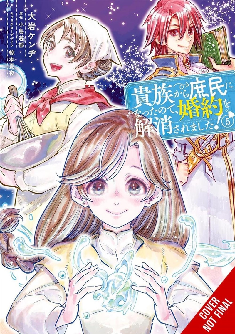 When I Became a Commoner, They Broke Off Our Engagement!, Vol. 5/Product Detail/Manga