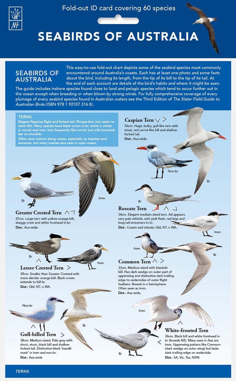 Seabirds - ID Chart/Product Detail/Animals & Nature