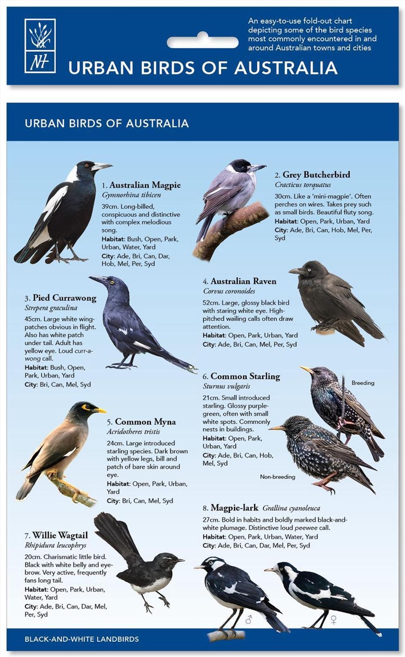 Urban Birds Of Australia-ID Chart/Product Detail/Animals & Nature