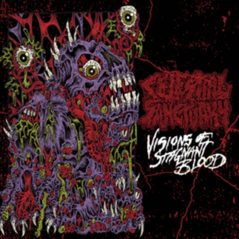 Visions Of Stagnant Blood/Product Detail/Rock/Pop