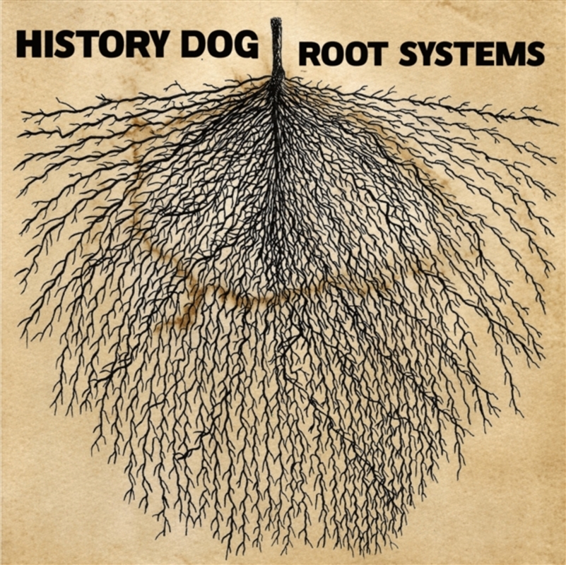 Root Systems/Product Detail/Dance