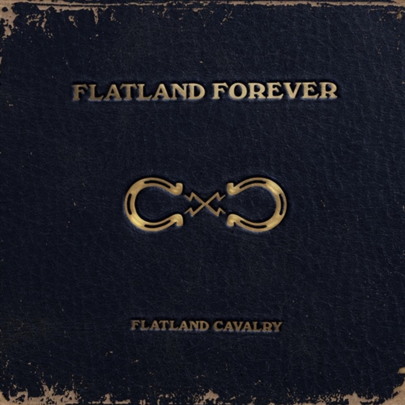 Flatland Forever (Gold Vinyl)/Product Detail/Country