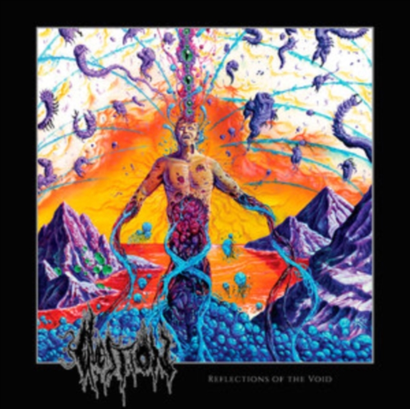Reflections Of The Void/Product Detail/Rock/Pop