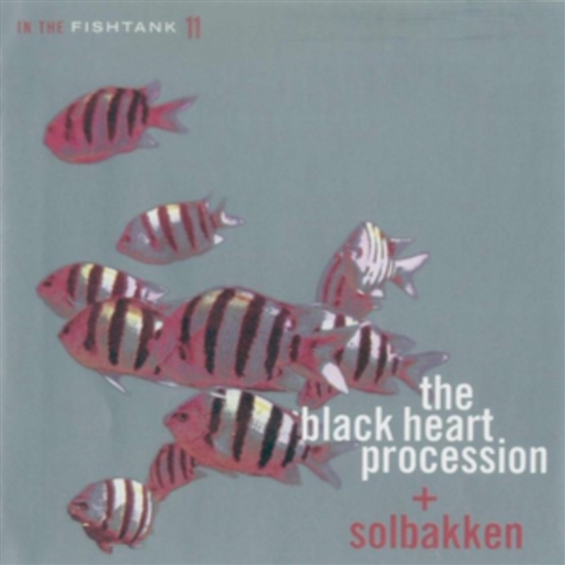 Solbakken In The Fishtank/Product Detail/Rock/Pop