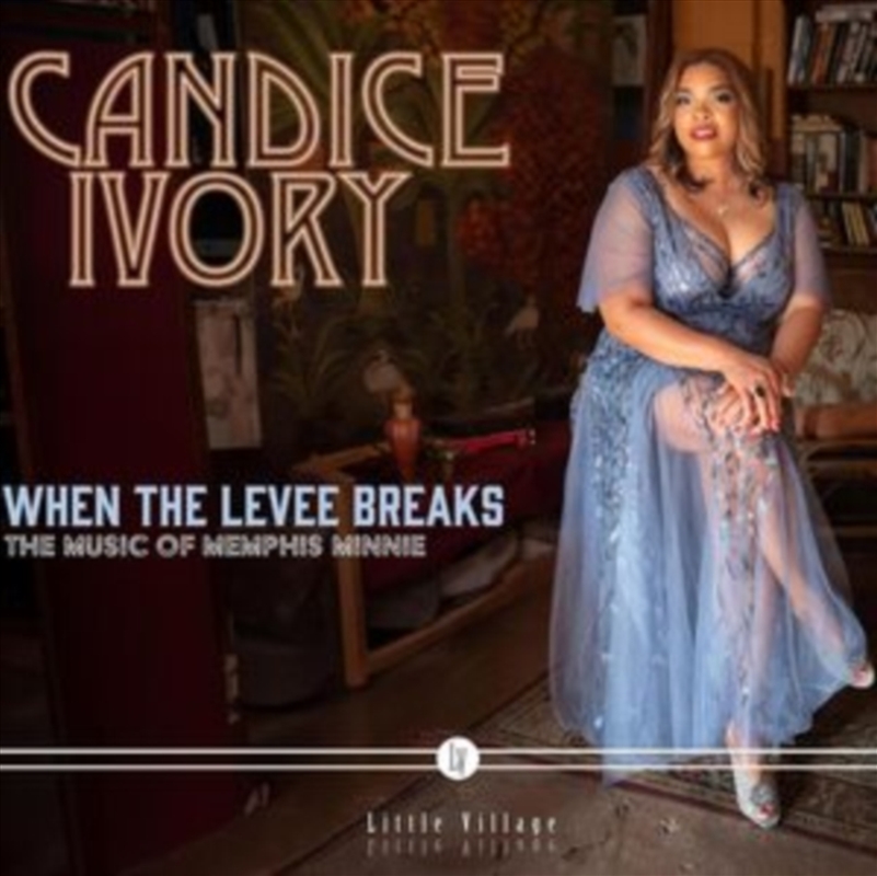 When The Levee Breaks: The Mus/Product Detail/Blues