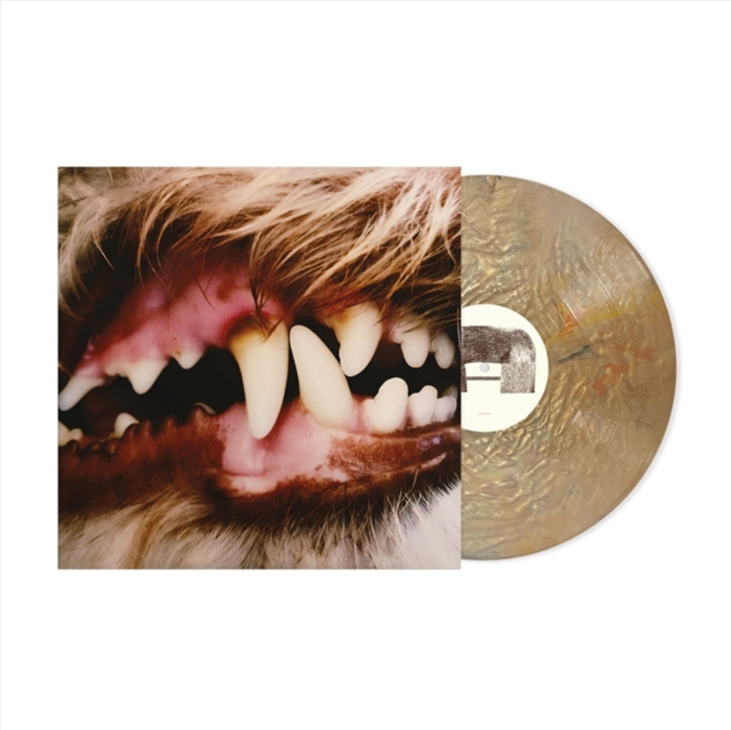 Lucius/Product Detail/Rock/Pop