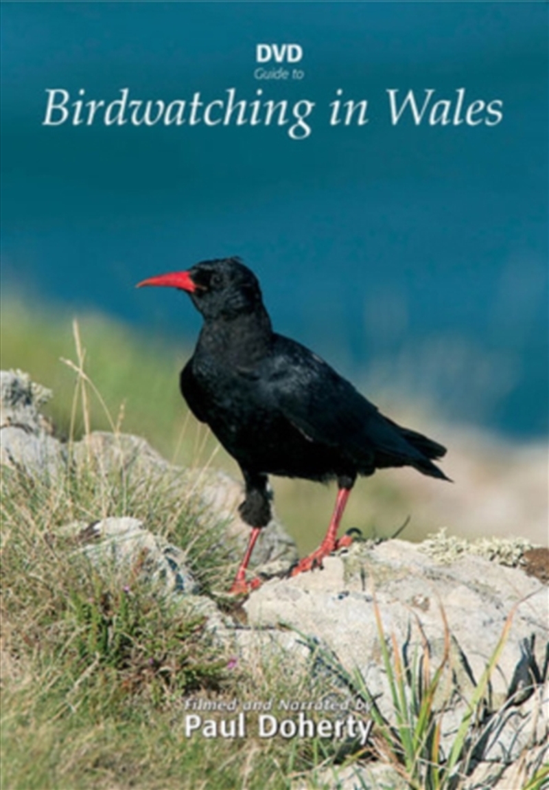 Birdwatching In Wales (REGION 2)/Product Detail/Documentary