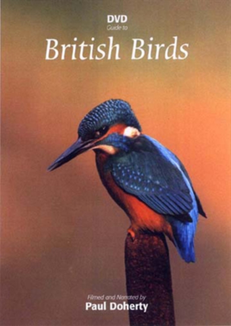 British Birds 3 Dvd Set (REGION 2)/Product Detail/Documentary