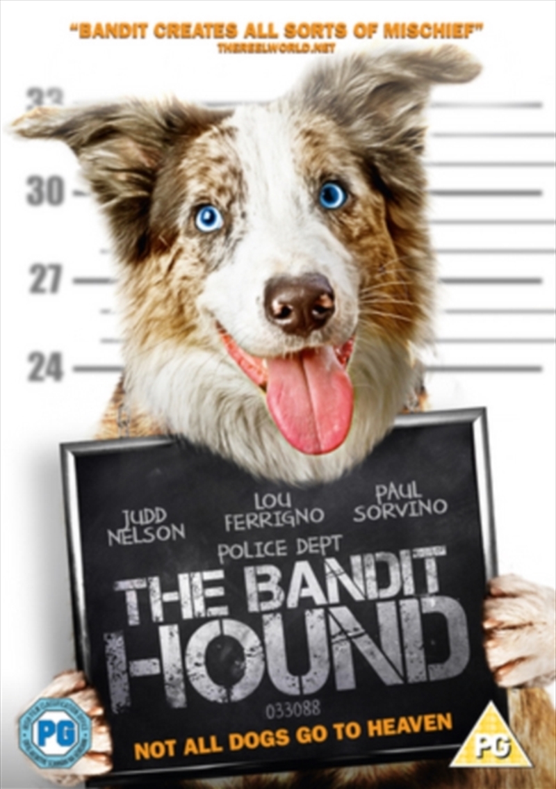Bandit Hound (REGION 2)/Product Detail/Comedy