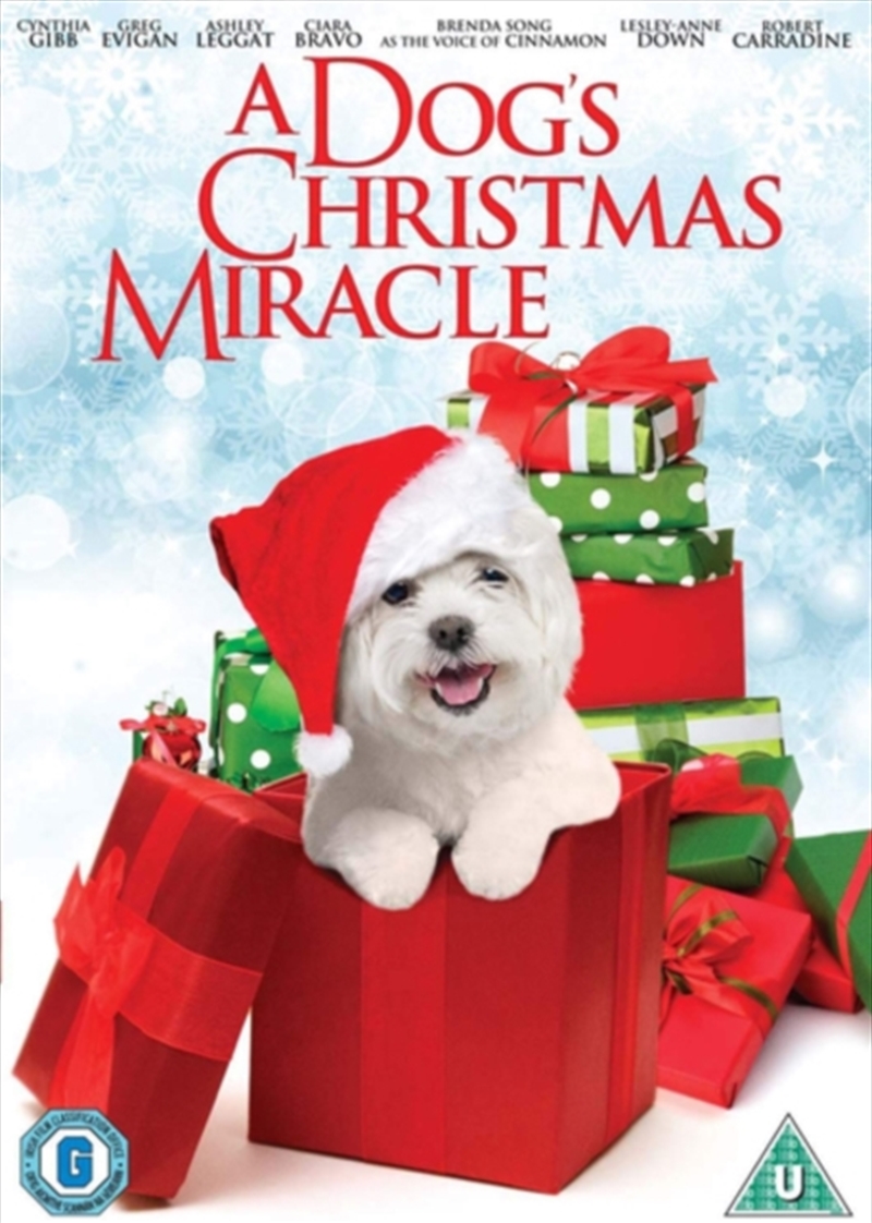 Dogs Christmas Miracle (REGION 2)/Product Detail/Comedy