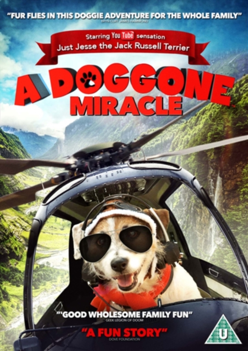 A Doggone Miracle (REGION 2)/Product Detail/Family
