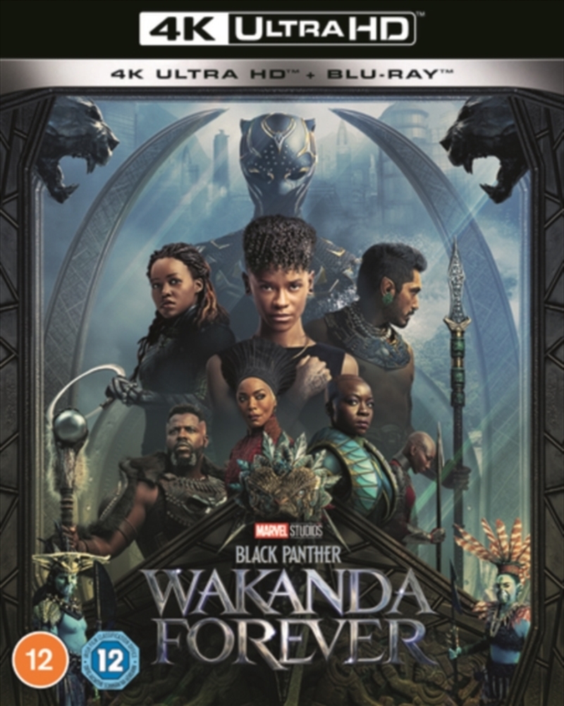 Black Panther - Wakanda Forever/Product Detail/Action