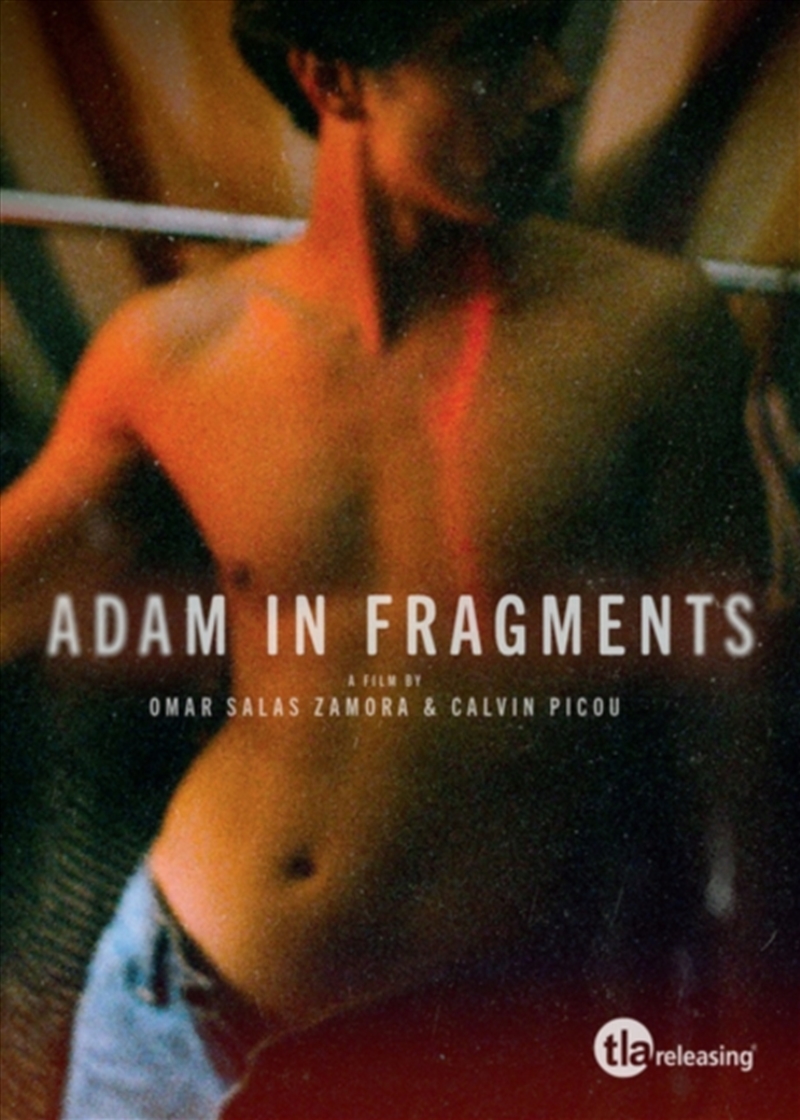 Adam In Fragments (REGION 2)/Product Detail/Drama