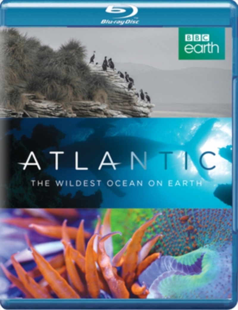 Atlantic - The Wildest Ocean On Earth/Product Detail/Documentary