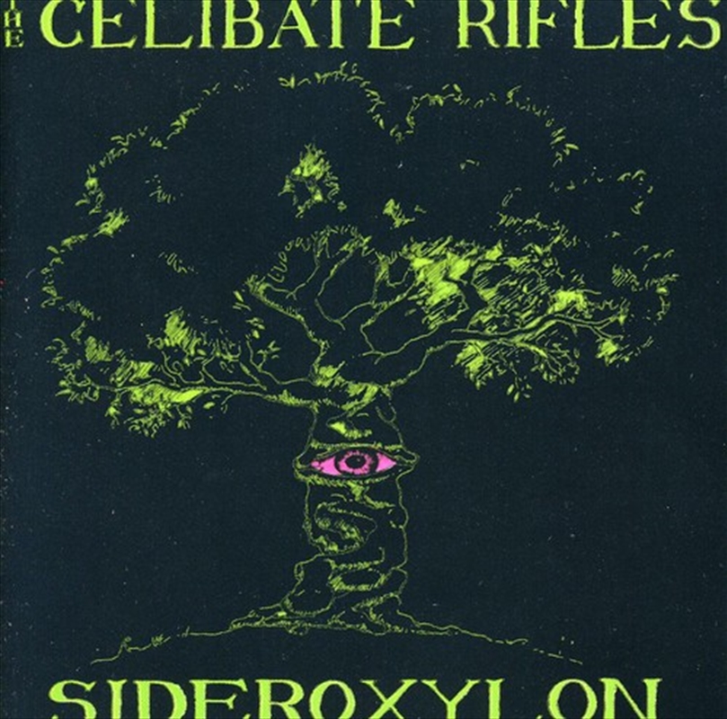 Sideroxylon/Product Detail/Rock/Pop