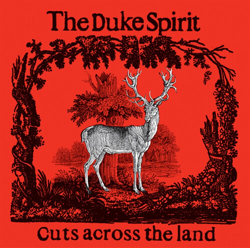 Cuts Across The Land: Deluxe/Product Detail/Rock/Pop