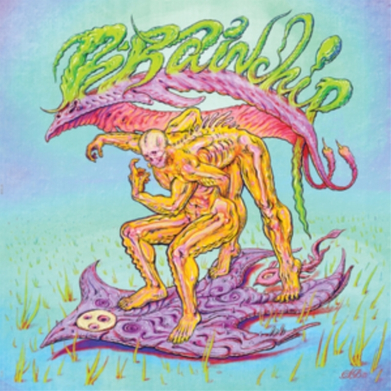 Brainchip/Product Detail/Rock/Pop