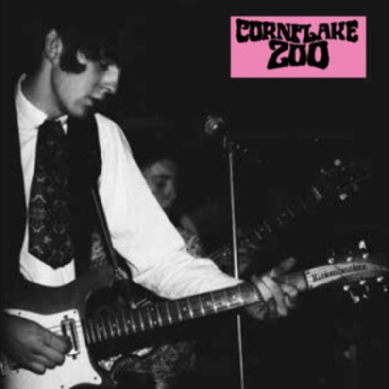 Knights Of Fuzz/Product Detail/Rock/Pop