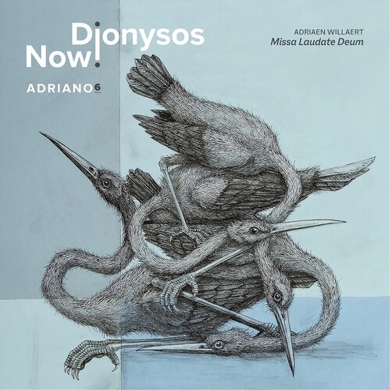 Adriano 6/Product Detail/Classical