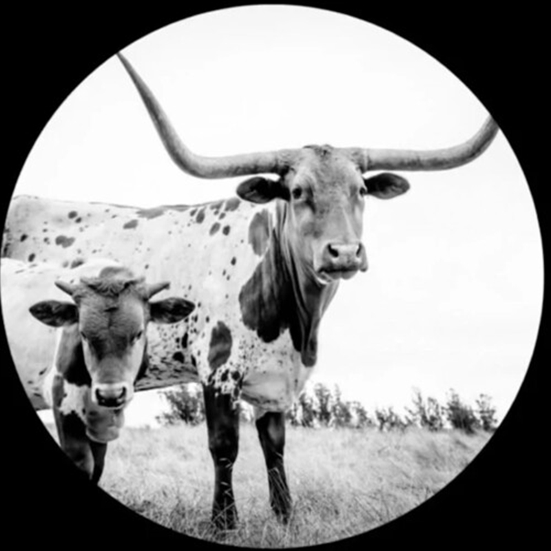 West Texas Blues/Product Detail/Blues