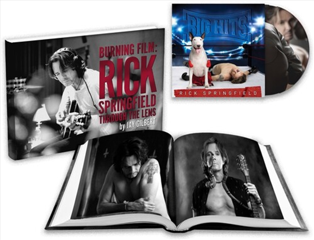 Big Hits: Rick Springfield's Greatest Hits Vol. 2/Product Detail/Rock/Pop