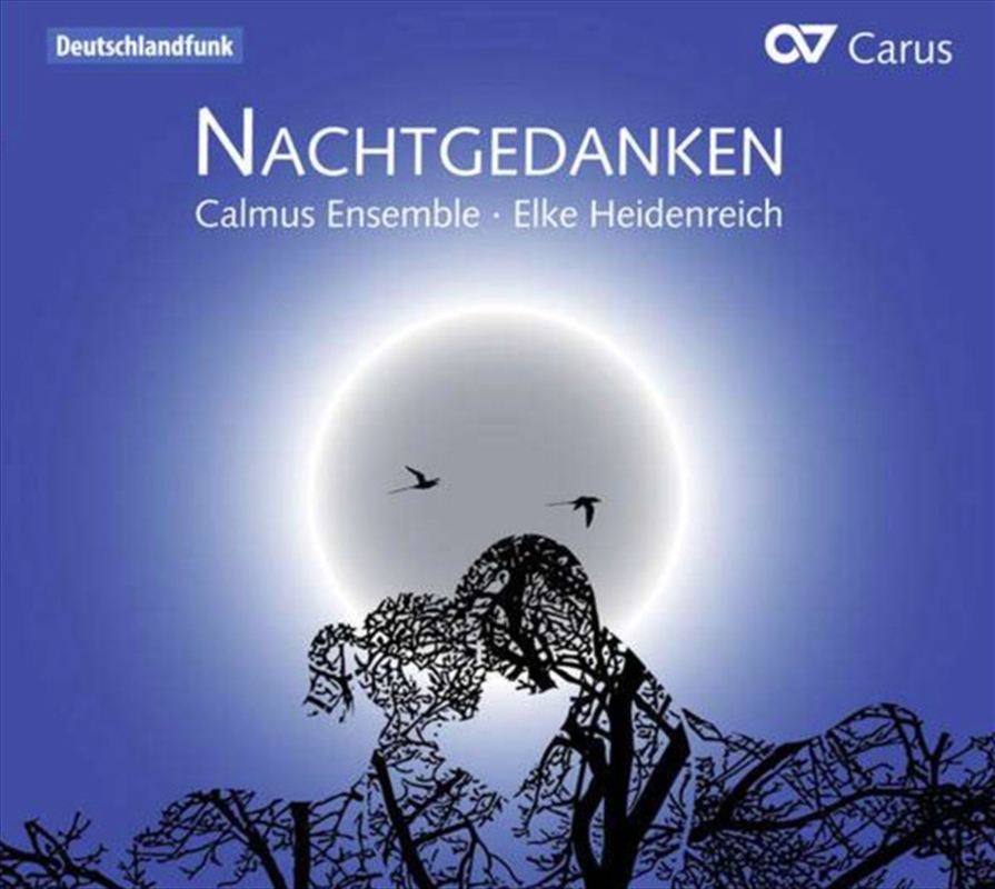 Nachtgedanken-Cappella Music & Poems/Product Detail/Classical