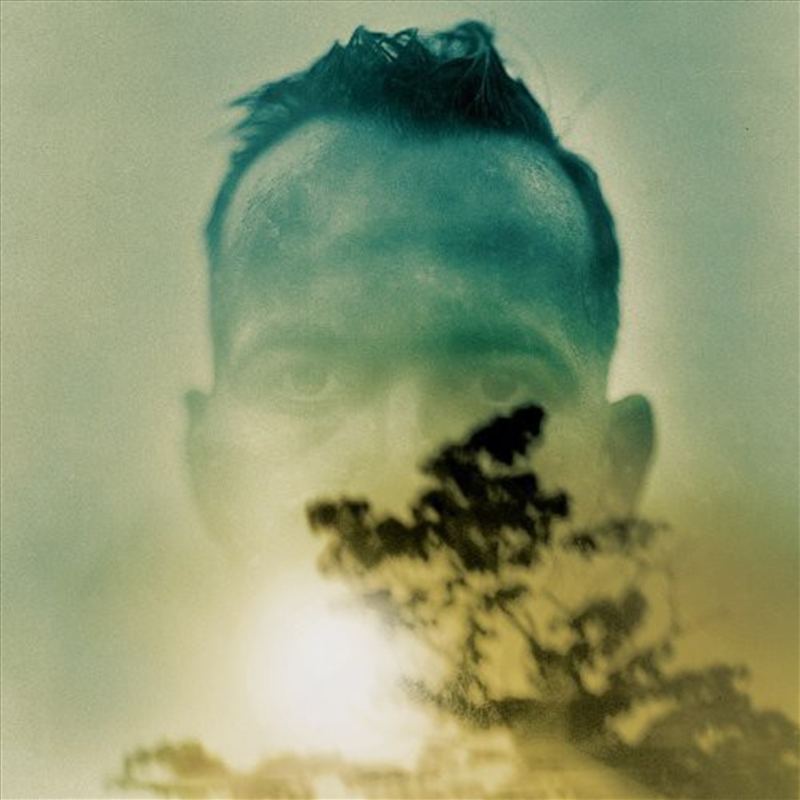 Rabbit Runs A Destiny/Product Detail/Rock/Pop