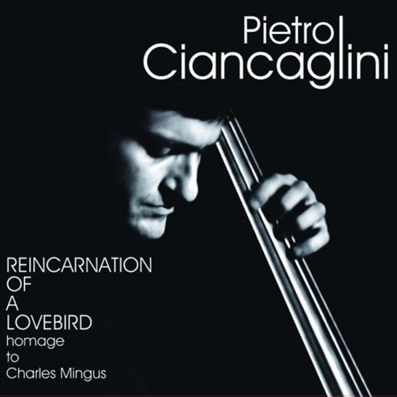 Reincarnation Of A Lovebird/Product Detail/Jazz