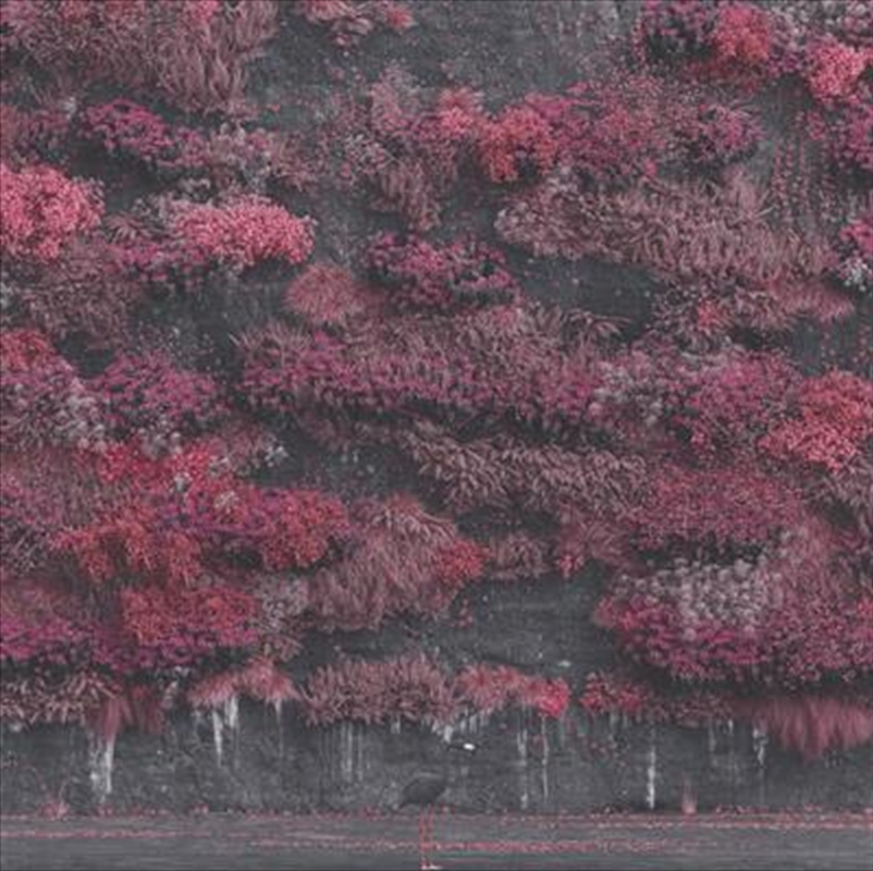 Even In Arcadia/Product Detail/Rock