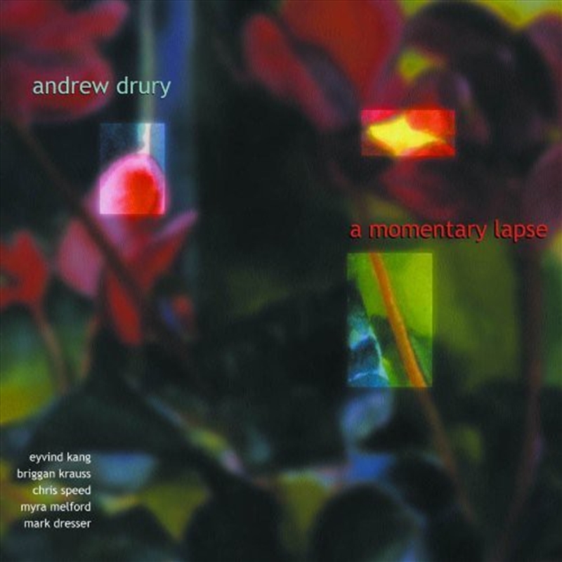 Momentary Lapse/Product Detail/Jazz