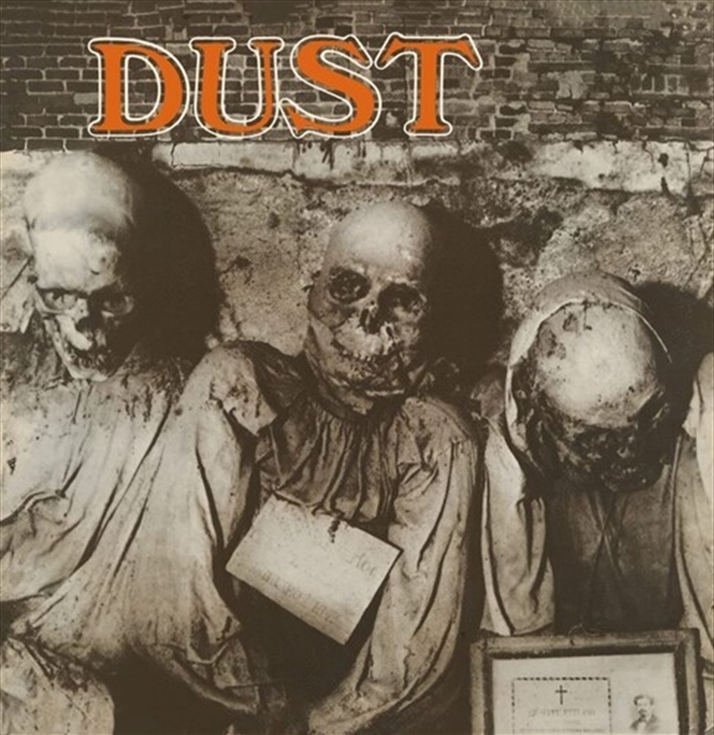 Dust - Grey Vinyl/Product Detail/Rock/Pop