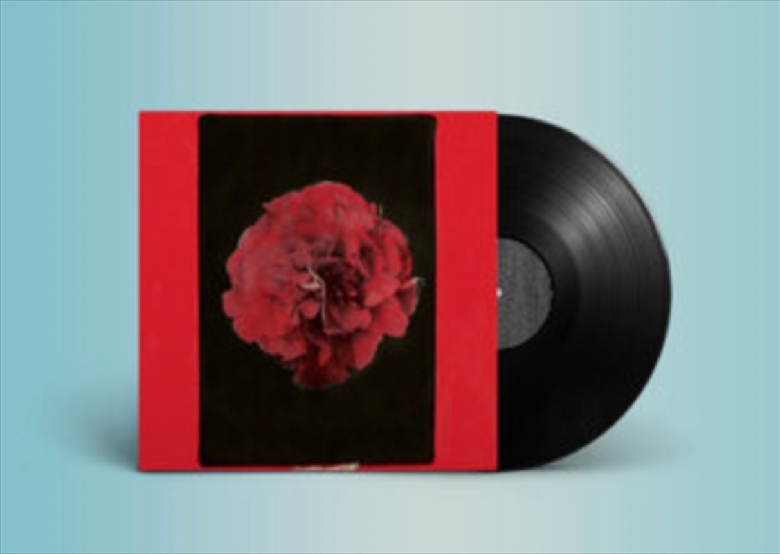 A Thousand Years In Another Way/Product Detail/Alternative