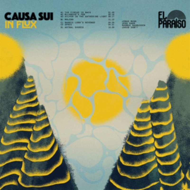 In Flux - Eco-Mix Vinyl/Product Detail/Rock/Pop