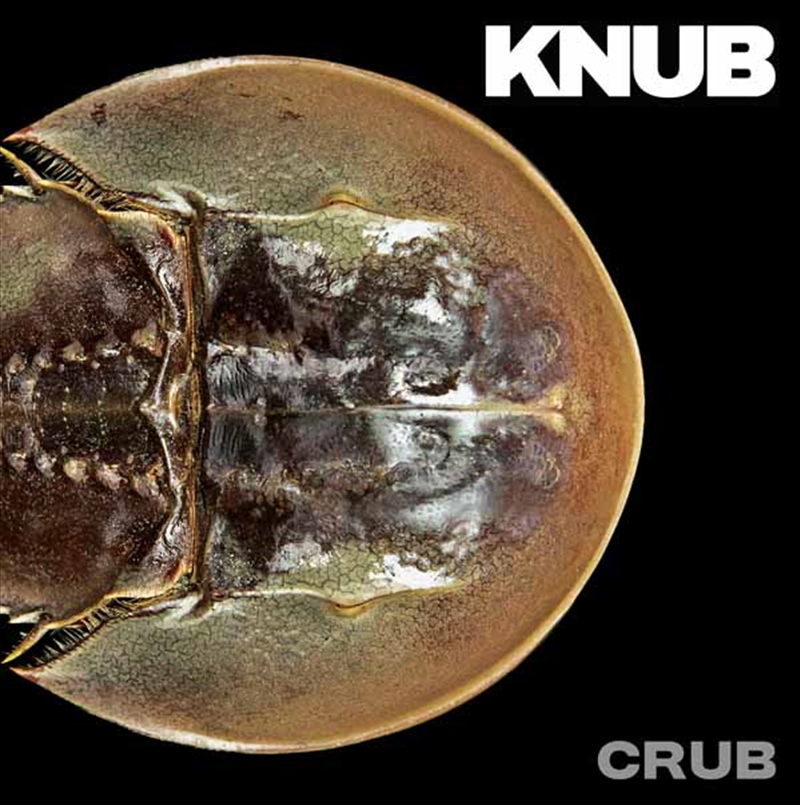 Crub/Product Detail/Rock/Pop